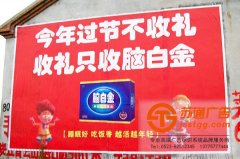 新穎的構思促進了墻體廣告的優(yōu)良發(fā)展