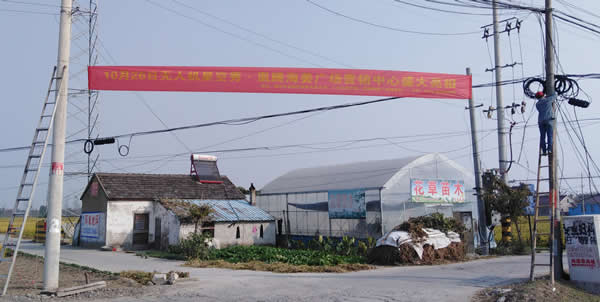 凰騰·海姜廣場鄉(xiāng)村（鎮(zhèn)）條幅制作安裝