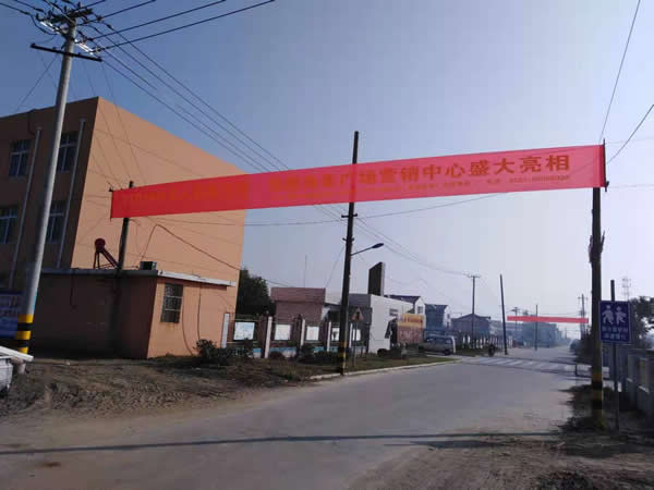 凰騰·海姜廣場鄉(xiāng)村（鎮(zhèn)）條幅制作安裝