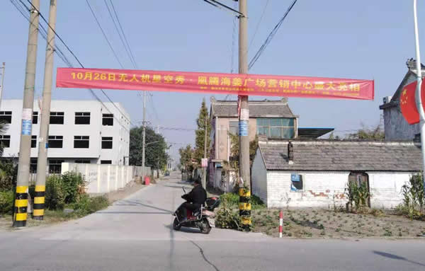凰騰·海姜廣場鄉(xiāng)村（鎮(zhèn)）條幅制作安裝