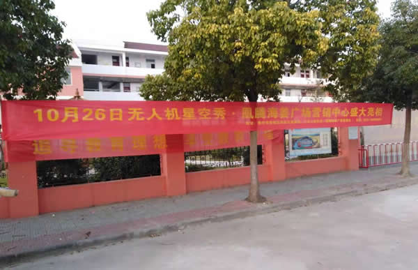 凰騰·海姜廣場鄉(xiāng)村（鎮(zhèn)）條幅制作安裝
